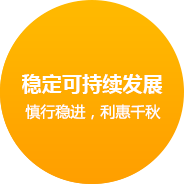 米采信息科技 网站建设